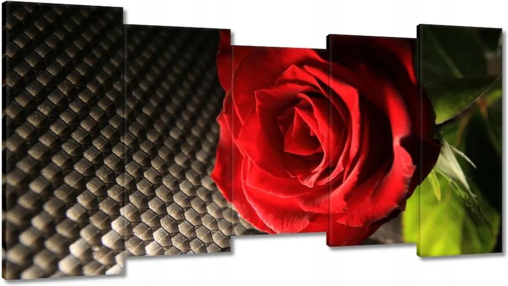 Vászonkép 150x80 Vörös rózsa levelekkel