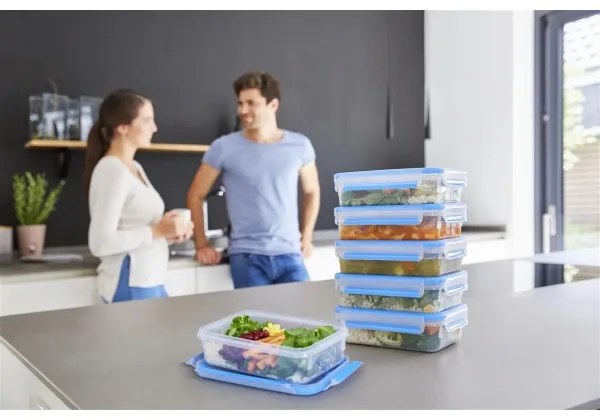 Tefal - KÉSZLET 6x Élelmiszer tartó 0,8 l MASTER SEAL FRESH kék