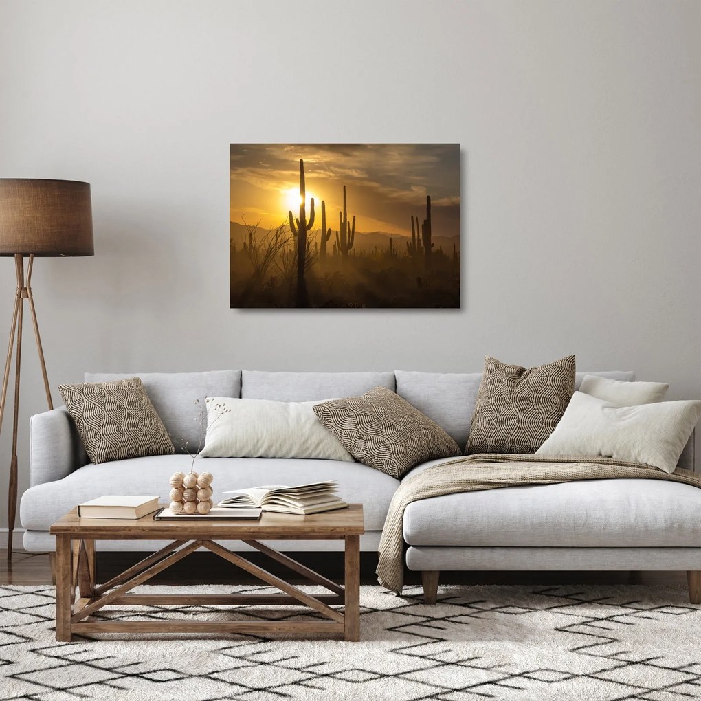 Üveg kép - Saguaro kaktuszok (70x50 cm)