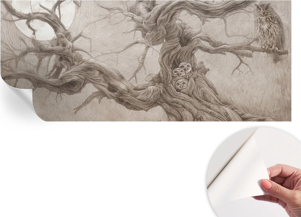 Öntapadós Dekoratív Fotótapéta Hálószobába Éjszakai madarak 250x104 cm