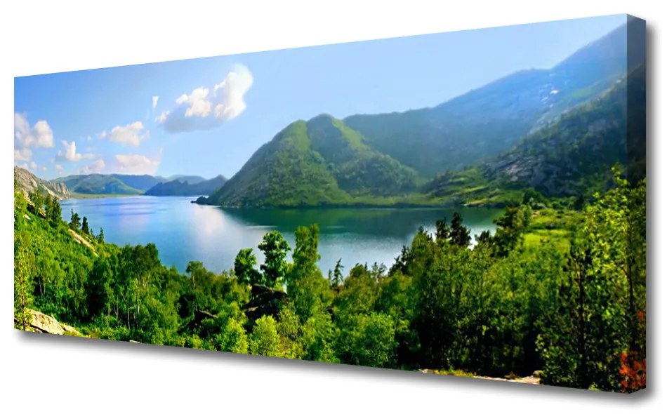 Vászonkép falra Forest Lake hegyek táj 100x50 cm