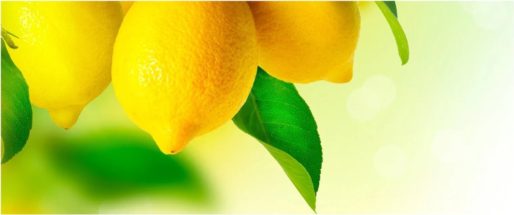 A citrom képe (120x50 cm)