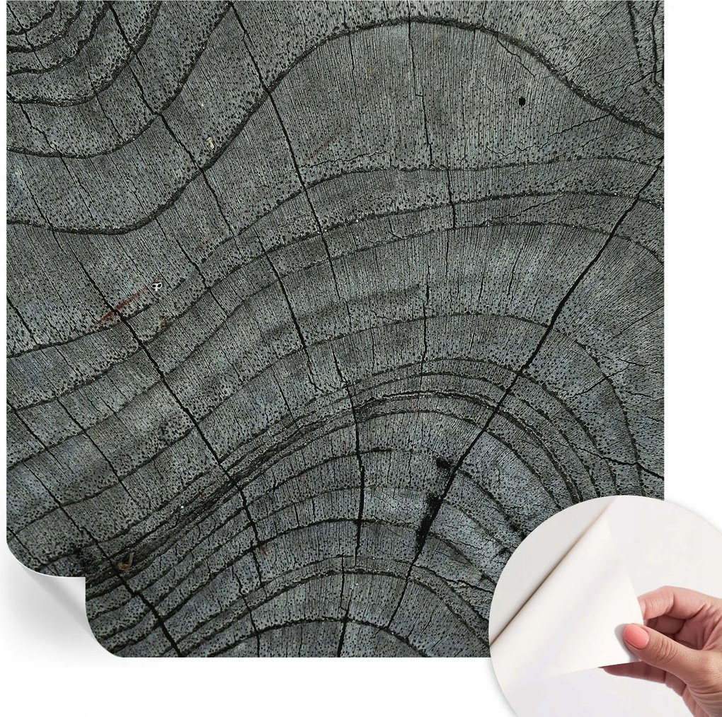 Dekoratív öntapadós fotótapéta Hálószobába Befőttesüveg mintás 250x250 cm