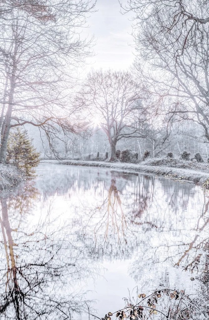 Poszter 53x81cm Csatorna fákkal, Assaf Frank