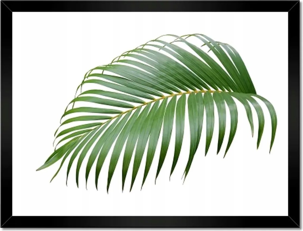 Poszterek keretben 40x30 Zöld levél Minimalizmus