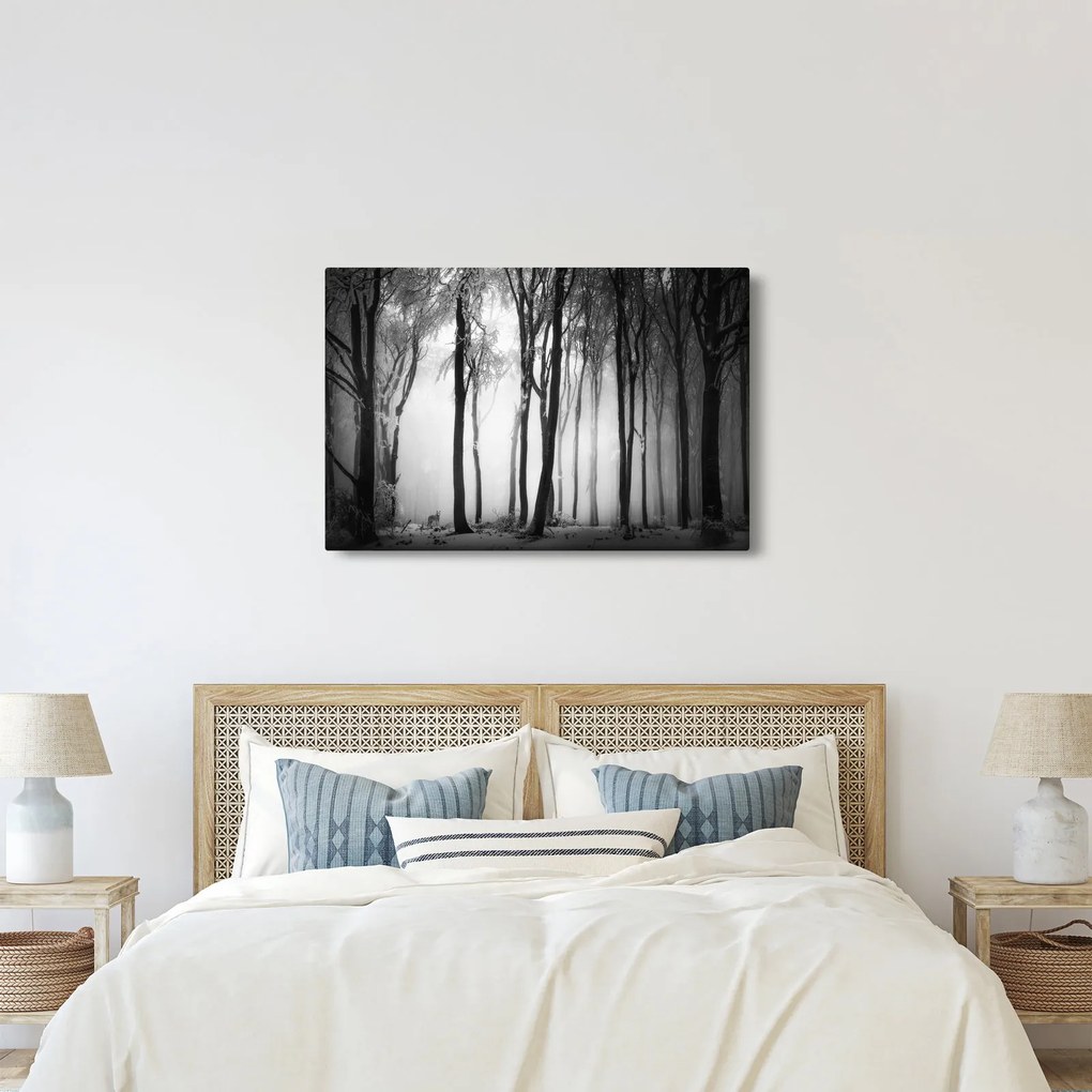 Kép - Farkas a sötét erdőben (90x60 cm)