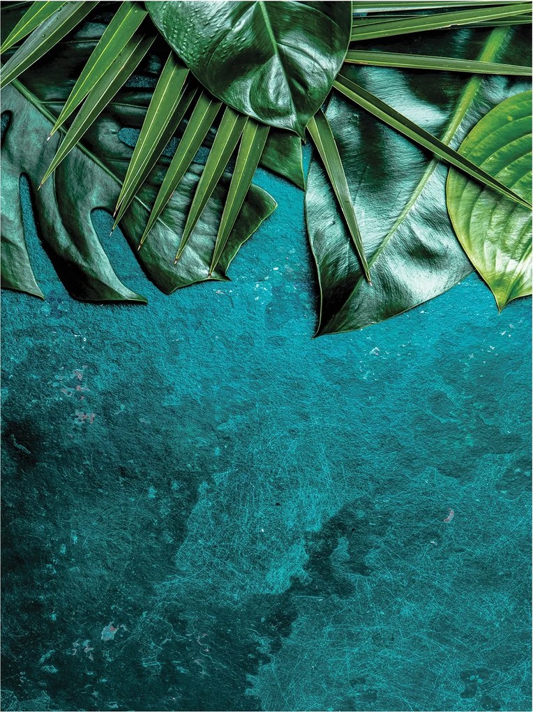 Fotótapéta Trópusi levelek Zöld frissesség és relaxáció 184x254 +ragasztó