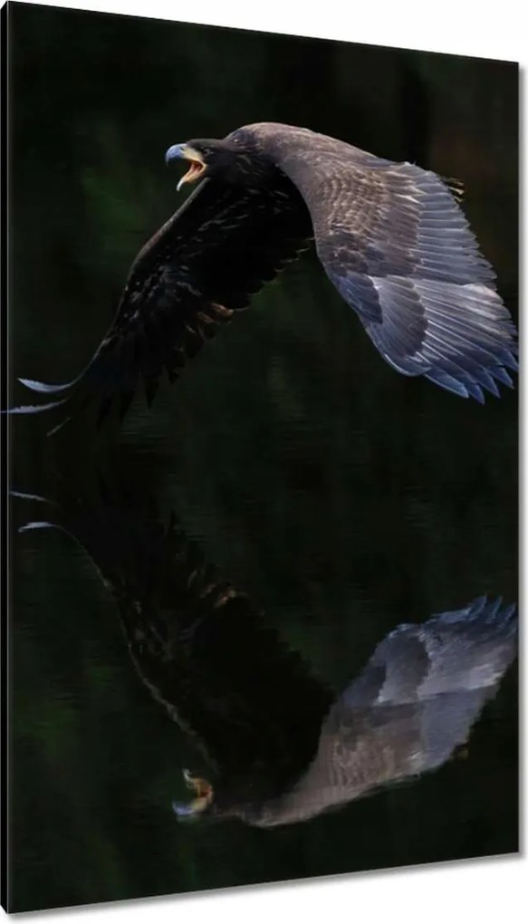 Vászonkép 80x120 Madarak