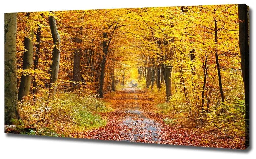Vászon nyomtatás Erdő ősszel pl-oc-120x60-f-86844242