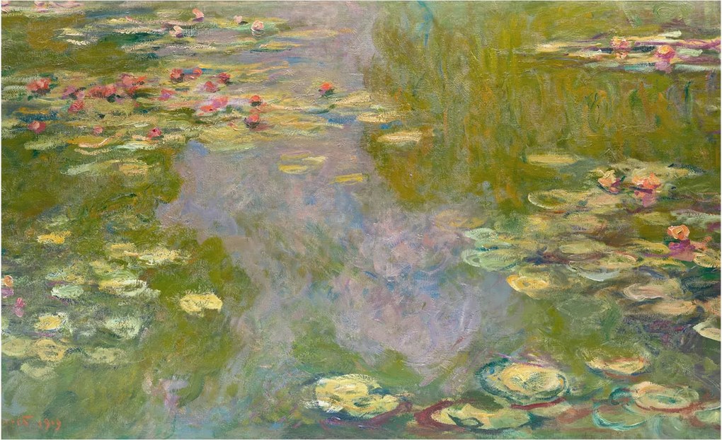 Fotótapéta Dekoratív Fali Tapéta Képek Vízi liliomok 416x254