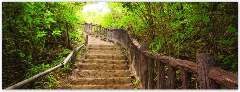 Fotótapéta flizelina 250x93 Lépcsők az erdőbe