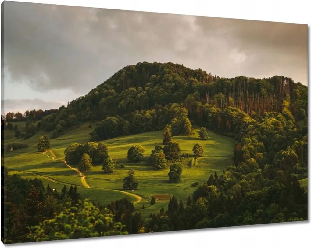 Festmények 100x70 Tájkép Pieniny