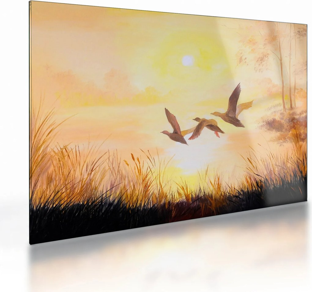 Kép - Daruk naplementekor (üvegen) (70x50 cm)