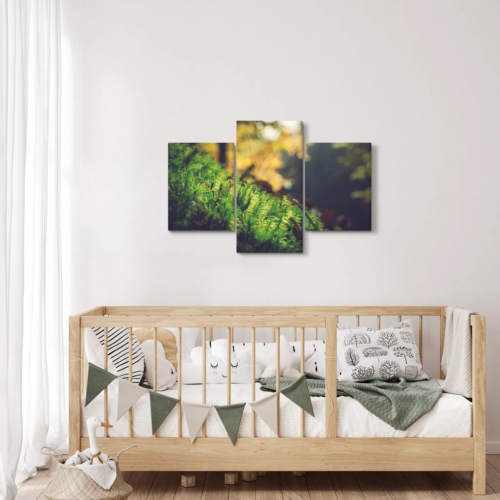 A moha képe gombával (90x60 cm)