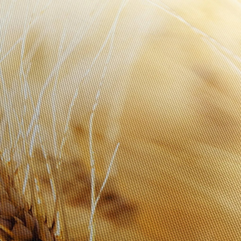 Kép - részlet gabona (120x50 cm)