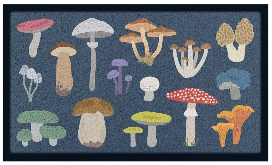 Lábtörlő 40x70 cm Mixed Wild Mushroom – Artsy Doormats