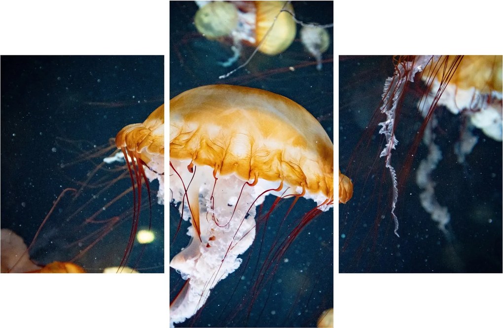 Medúza képe (90x60 cm)