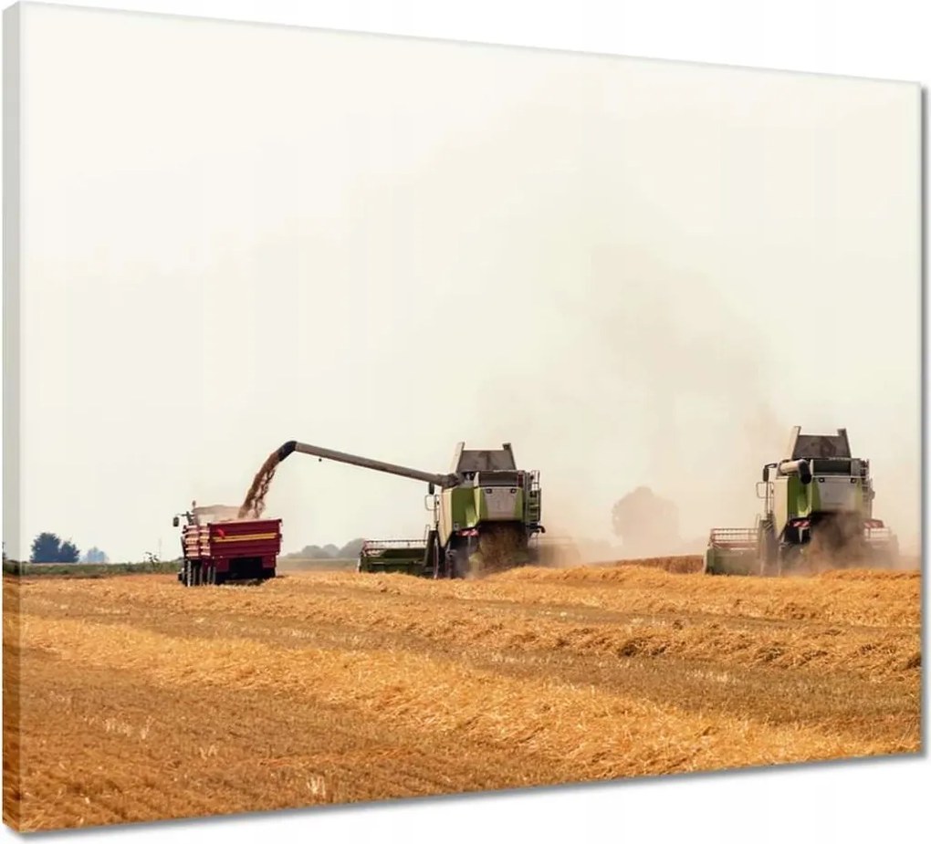 Vászonkép 50x40 Kombájn gabona betakarításhoz