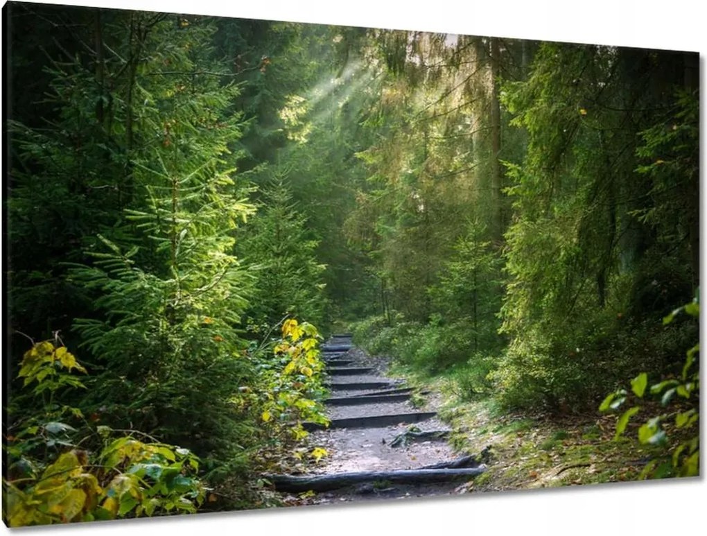 Festmények 120x80 Tájkép