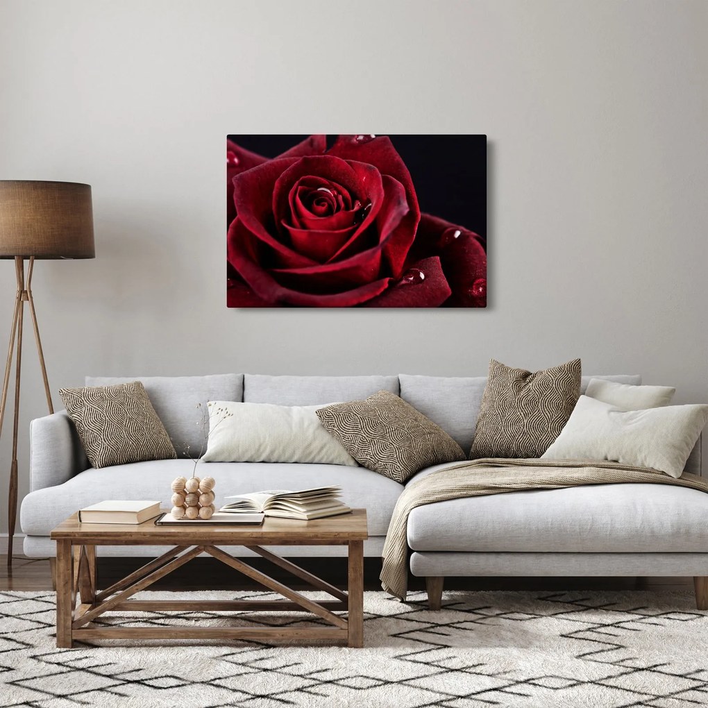Kép - Vörös rózsa (90x60 cm)