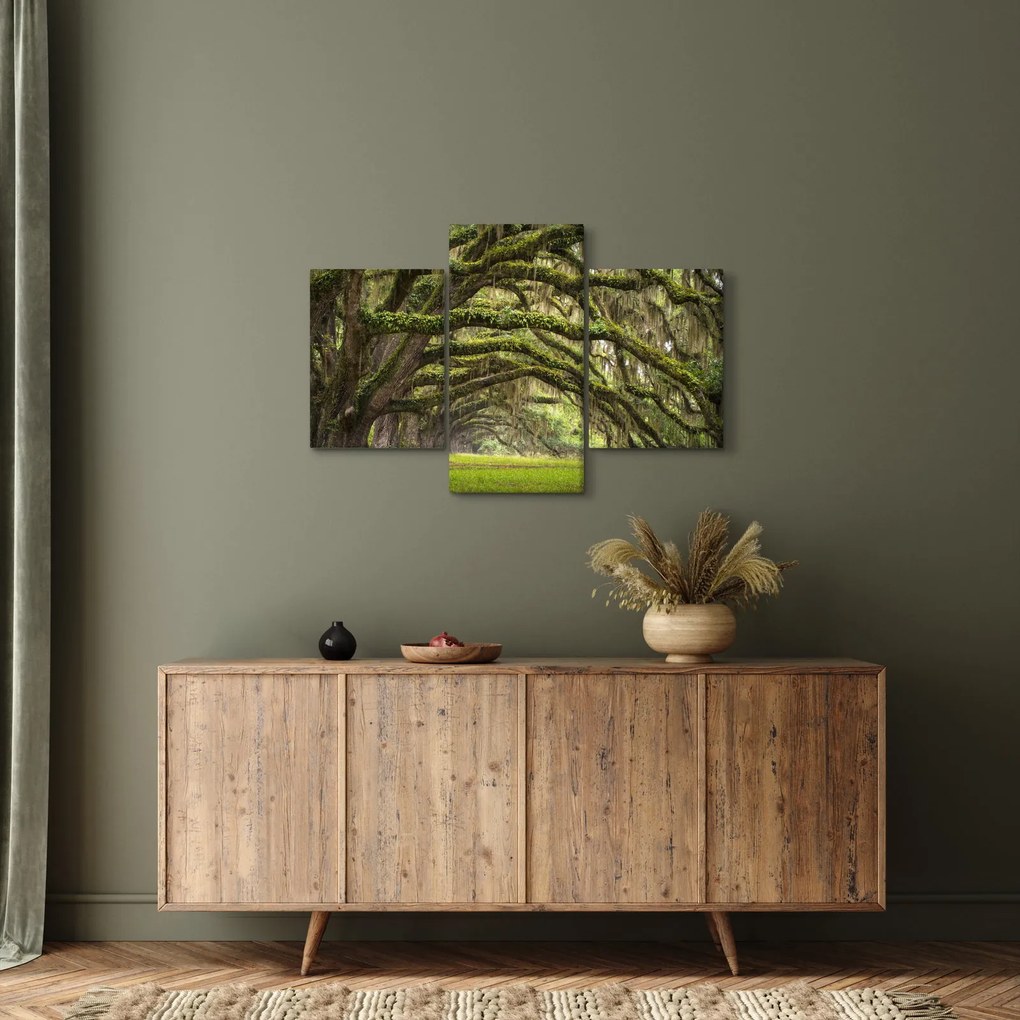 Kép - Oaks Avenue, Charleston, Dél-Karolina, Egyesült Államok (90x60 cm)