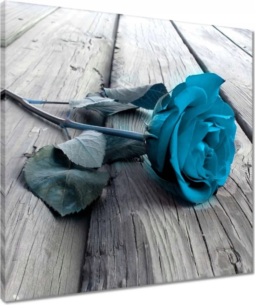 Vászonkép 50x50 Kék rózsa a deszkákon