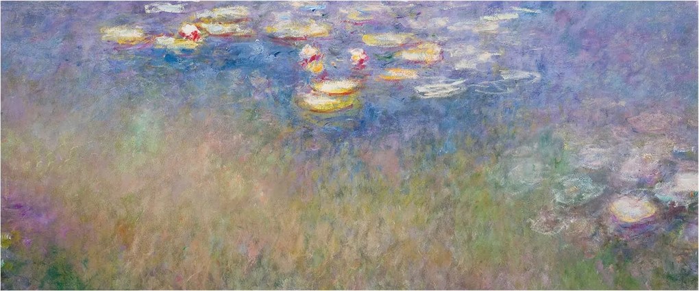 Flizelin tapéta falra Prémium víz liliomok 250x104 ragasztó