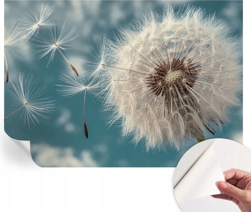 Öntapadós Dekoratív Fotótapéta Hálószobába Könnyű éteriség 208x146