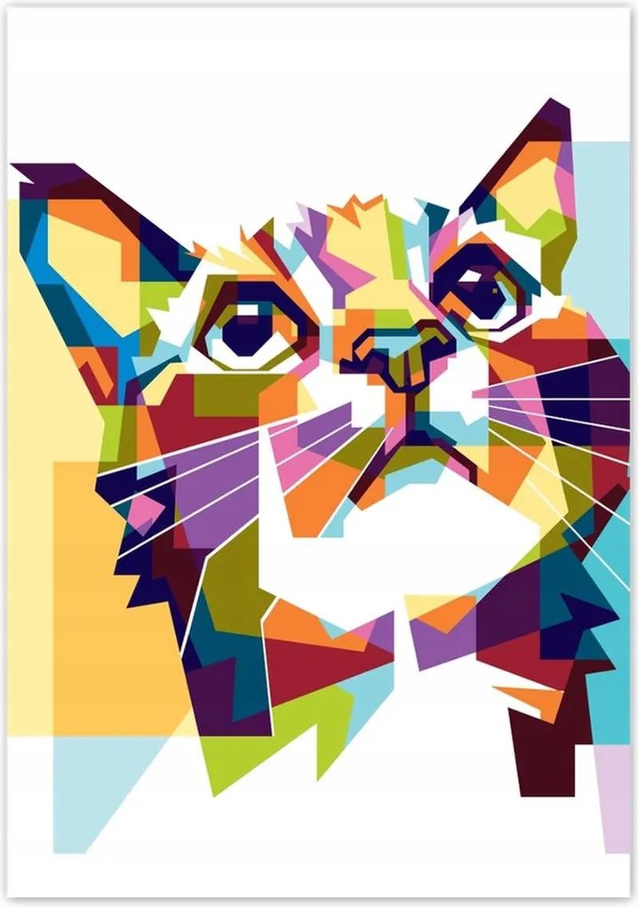 Poszterek 70x100 Absztrakt macska