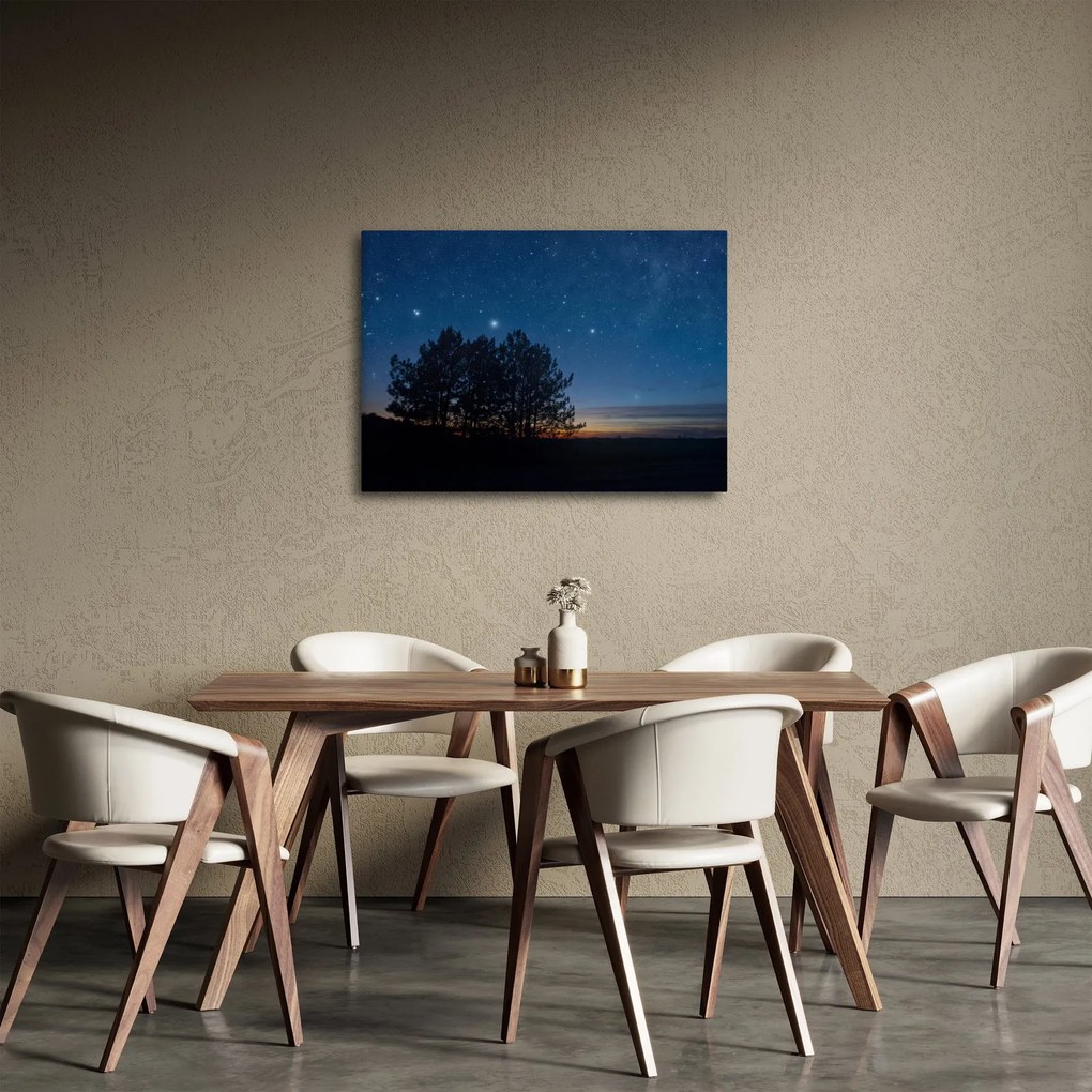 A fák éjjel képe (70x50 cm)