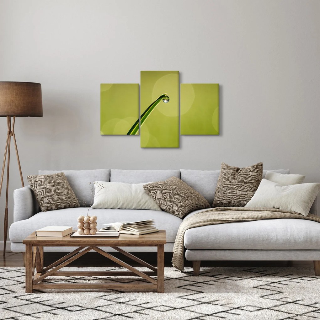 Víz csepp a fűben képe (90x60 cm)