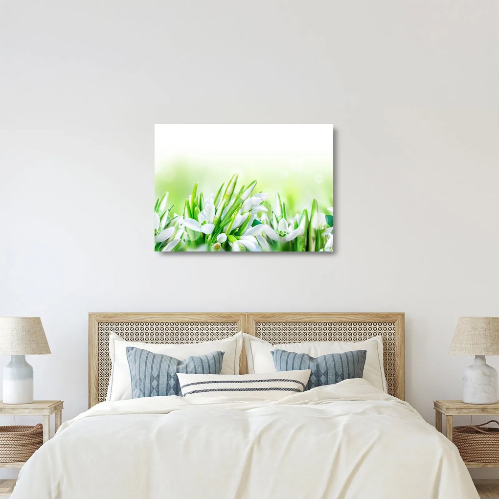 Kép - Hóvirág (üvegen) (70x50 cm)