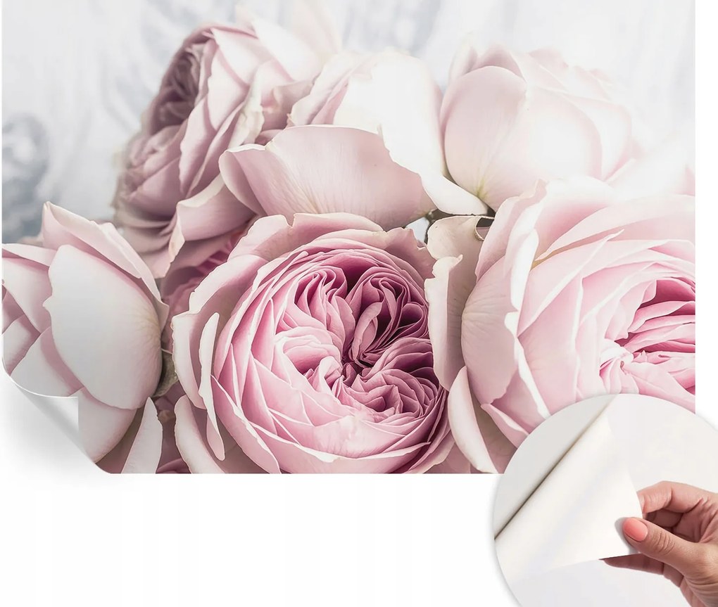 Öntapadós Dekoratív Fotótapéta Hálószobába Rózsaszín rózsák 152x104 cm