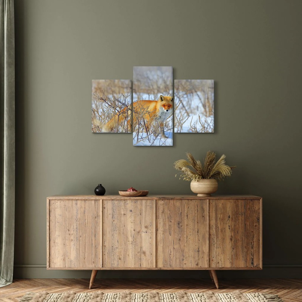 Kép - Róka (90x60 cm)