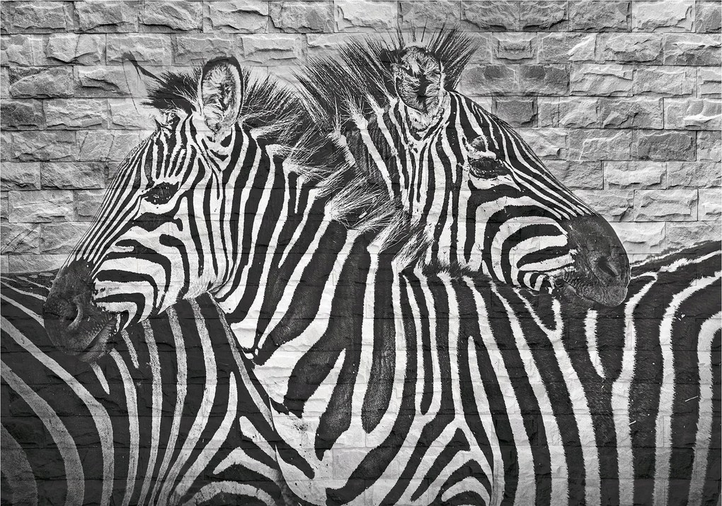 Zebra flizelin fotótapéta téglára monokróm kontraszt 300x210 +ragasztó