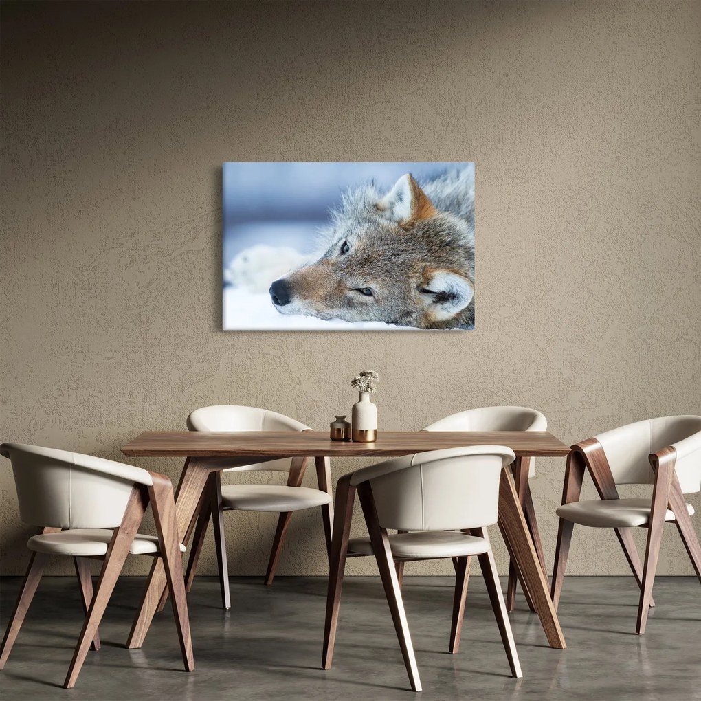Kép - Farkas (90x60 cm)