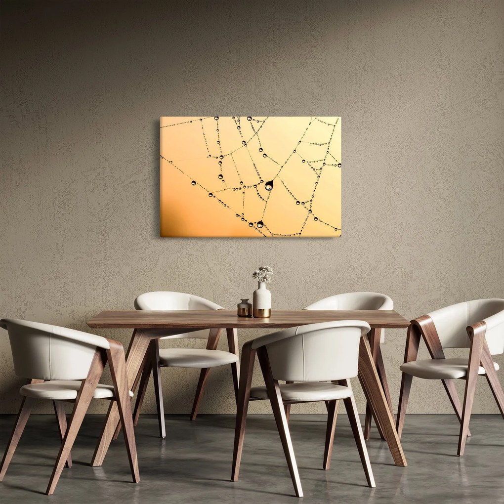 Egy harmatos pókháló képe (90x60 cm)