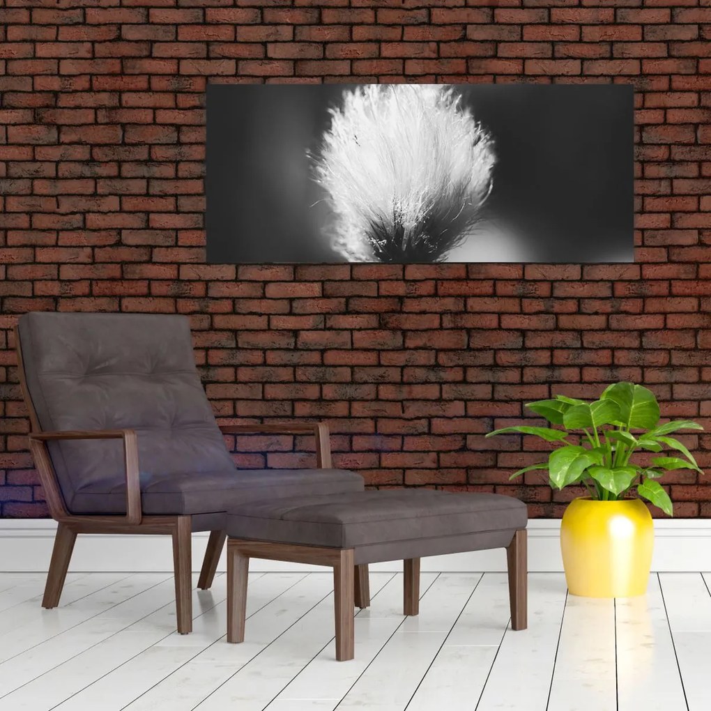 Kép - Fekete-fehér pamutfű (120x50 cm)