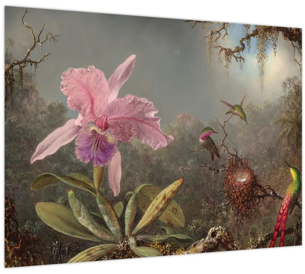 Kép - Martin Johnson Heade, Cattleya Orchid and Three Hummingbirds, reprodukciók (70x50 cm)