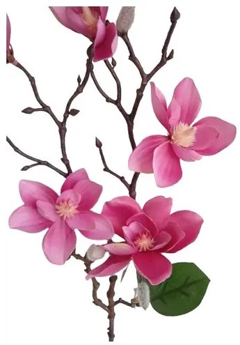 Művirág ág Magnolia sötét rózsaszín, 64 cm