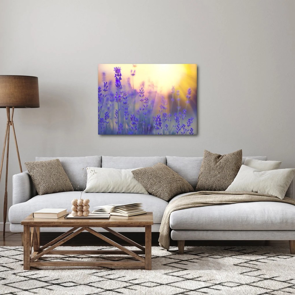 Kép - Levendula (70x50 cm)