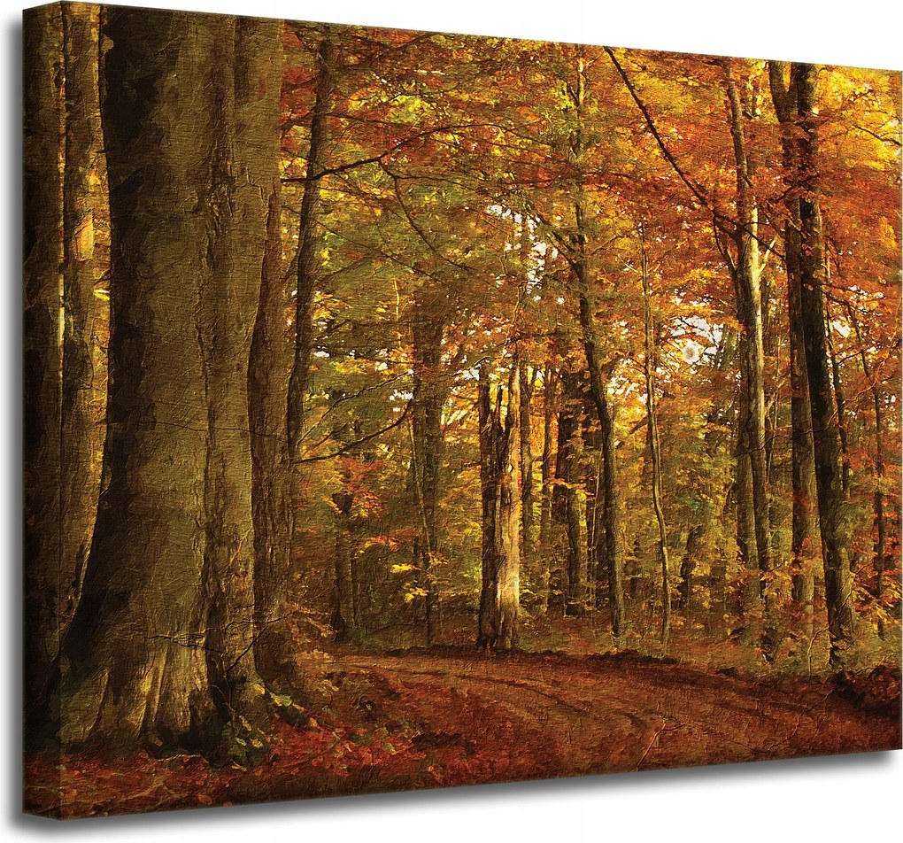 Vászonkép Pasztell stílus Fák Erdő Ősz 50x40 cm