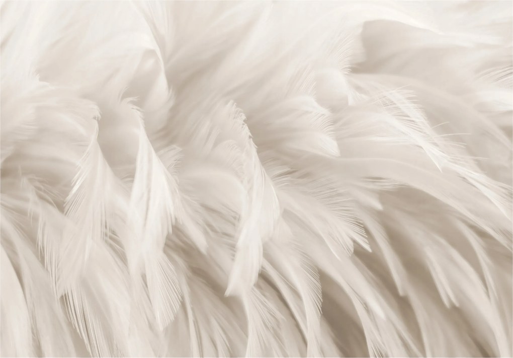 Fotótapéta Fehér tollak finomság és könnyedség a falon 254x184 +ragasztó