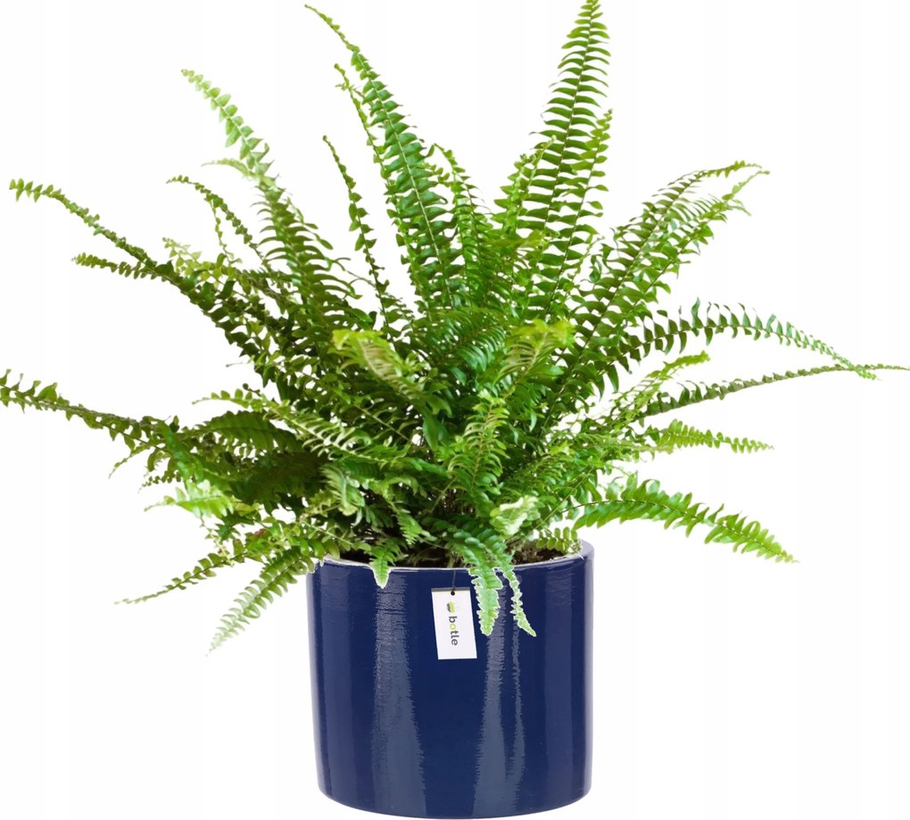 Virágcserép kerámia fedél Ø 12,5cm H 12cm szín Sötétkék fényes