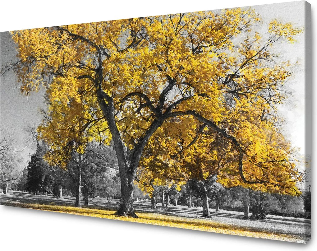Vászonkép Fekete fák Sárga levelek 90x60 cm Ajándéknak is tökéletes