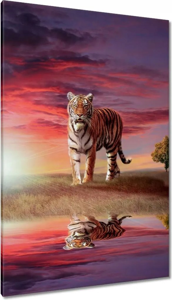 Vászonkép 80x120 Tigris