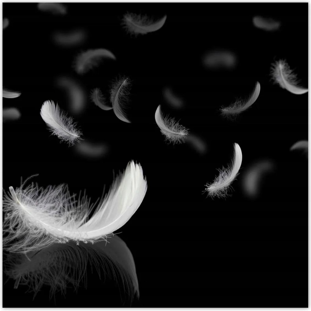 Fotótapéták 312x312 Hulló fehér tollak
