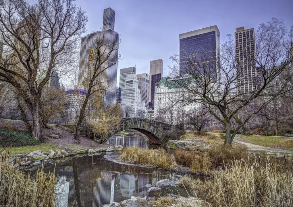 Poszter 42x29,7cm Központi park Manhattan panorámával 2, Assaf Frank
