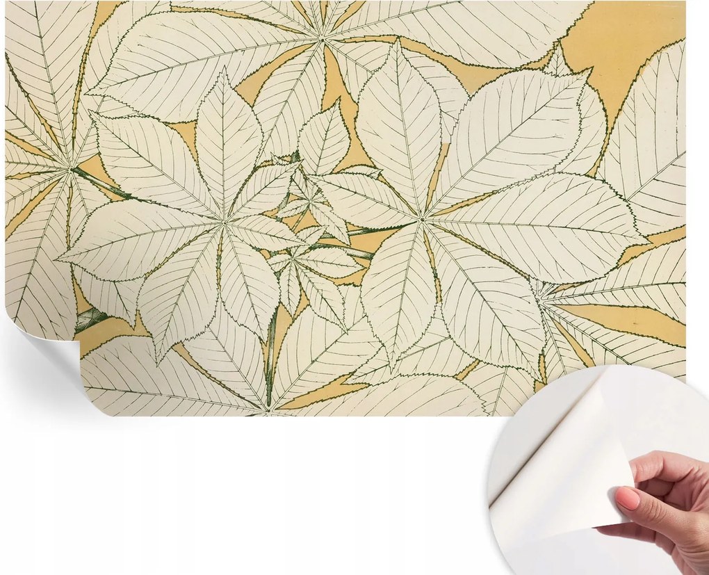 Fotótapéta Öntapadós Design Divatos Gesztenye levelek 416x254 cm