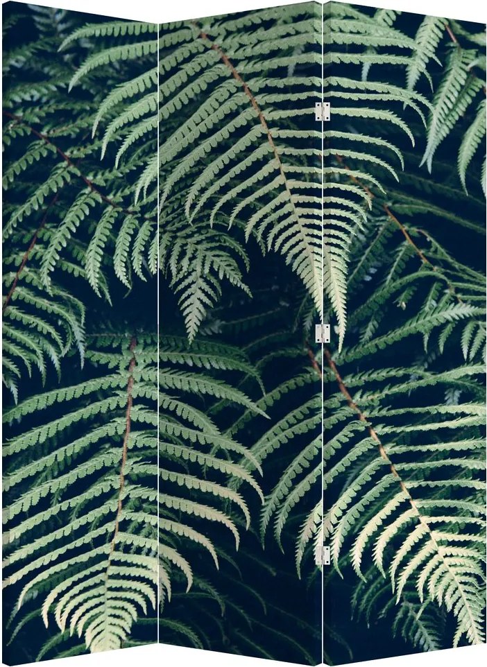 Paraván - Páfrány levelek (126x170 cm)